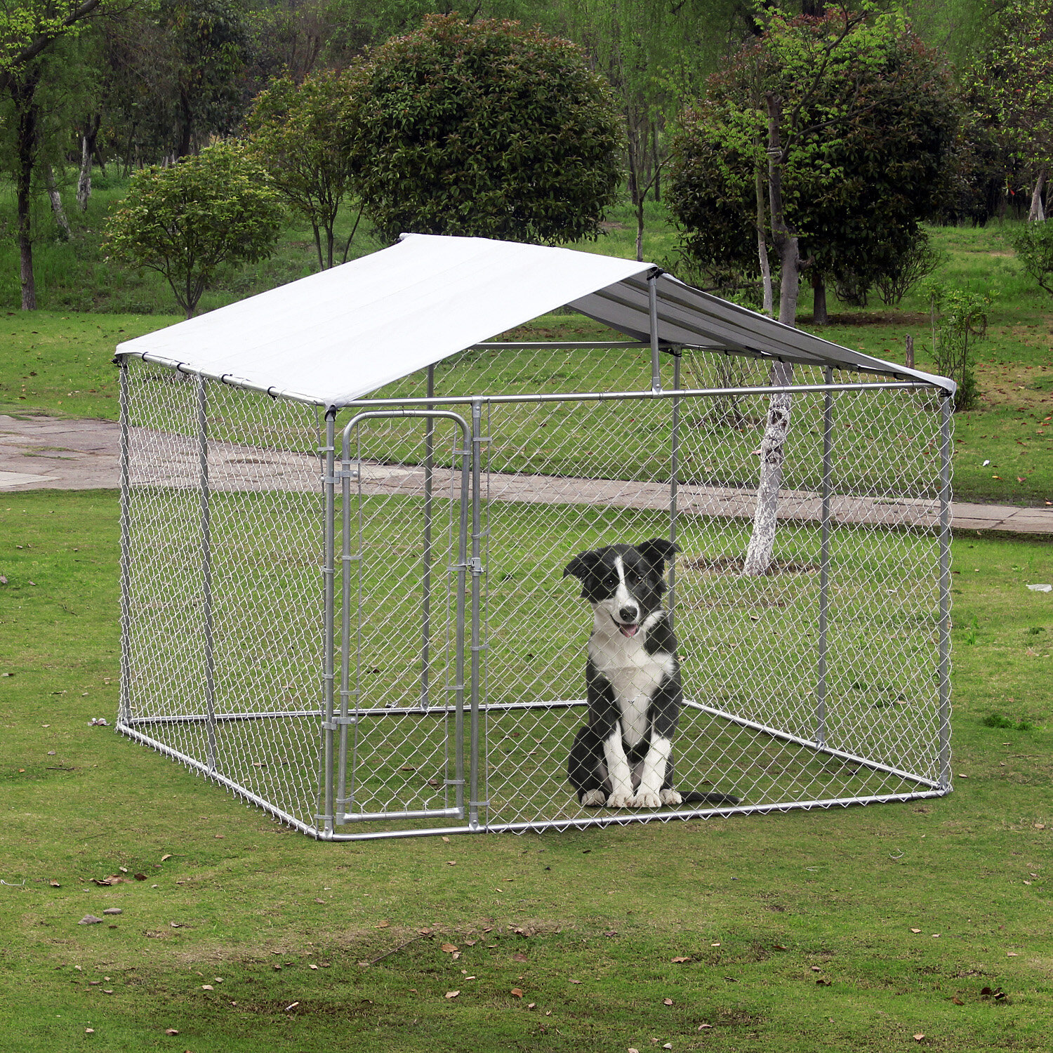 large enclosed dog crate
