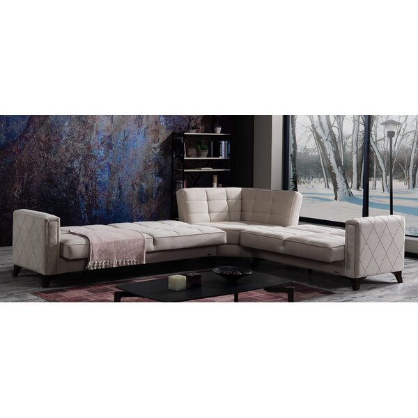 Ria Right Hand Facing Sleeper Sectional By Ivy Bronx