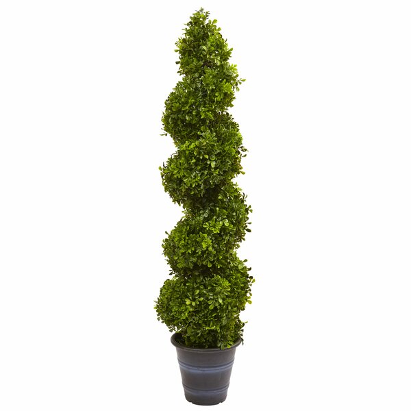 Boxwood Spiral Topiary in Planter by Nearly Natural