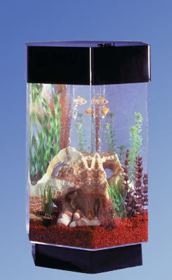 Alan 8 Gallon Scape Hexagon Alanrium Kit by Tucker Murphy Pet