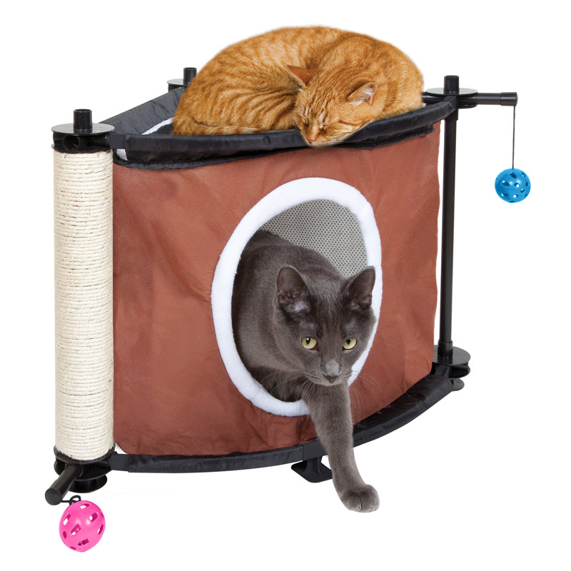 Kitty City 17 Kitty City Sleepy Corner Cat Condo Reviews Wayfair