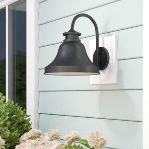 Carpenter 1-Light Outdoor Barn Light