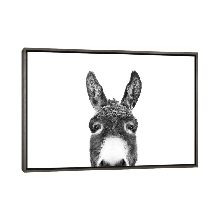 donkey frame