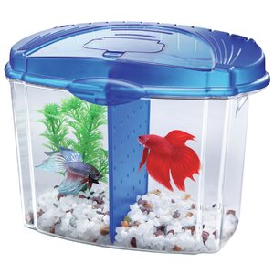 0.5 Gallon Betta Bowl Desktop Aquarium Kit