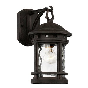 Ashberry 1-Light Outdoor Wall Lantern