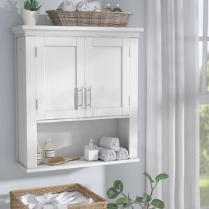 Reichman 22.5 W x 24.5 H Wall Mounted Cabinet