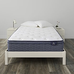 Queen Mattress Box Spring Set Wayfair