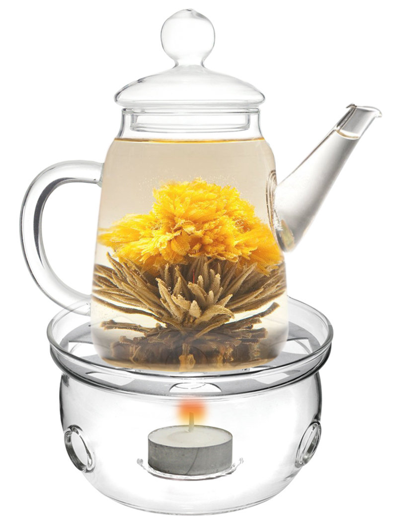 Tea Beyond 2 Piece 0.5qt. Teapot & Reviews Wayfair