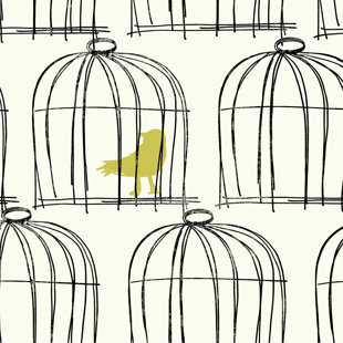 Black And White Bird Wallpaper Wayfair Book Birdcage 27 X Wallpaper Roll