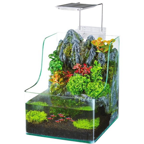 1 Gallon AquaTerrium™ Aquarium Tank by Penn Plax