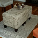 August Grove Adda Storage Ottoman & Reviews | Wayfair