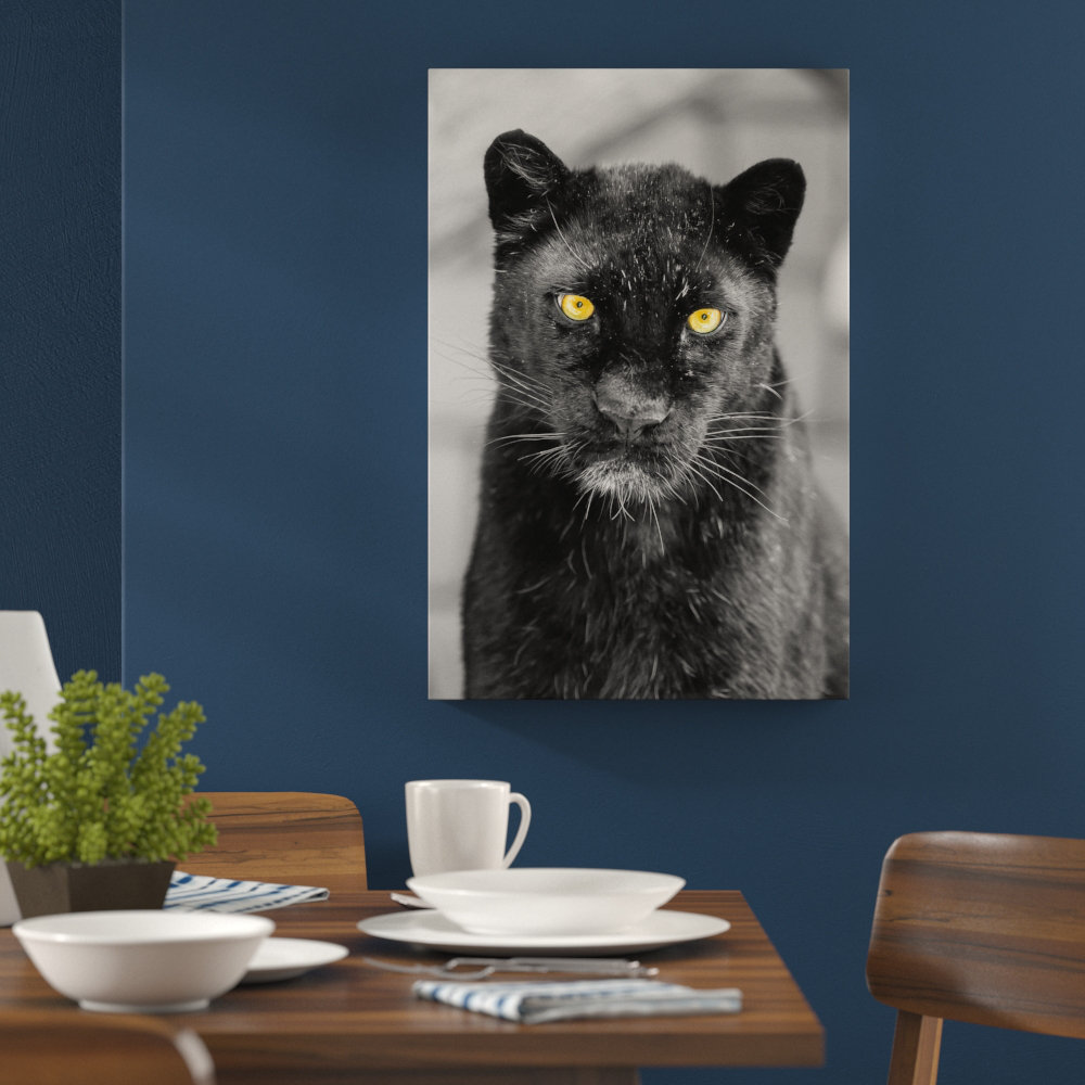wayfair cat table