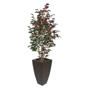 Synthetic Fabric Ficus Tree in Planter