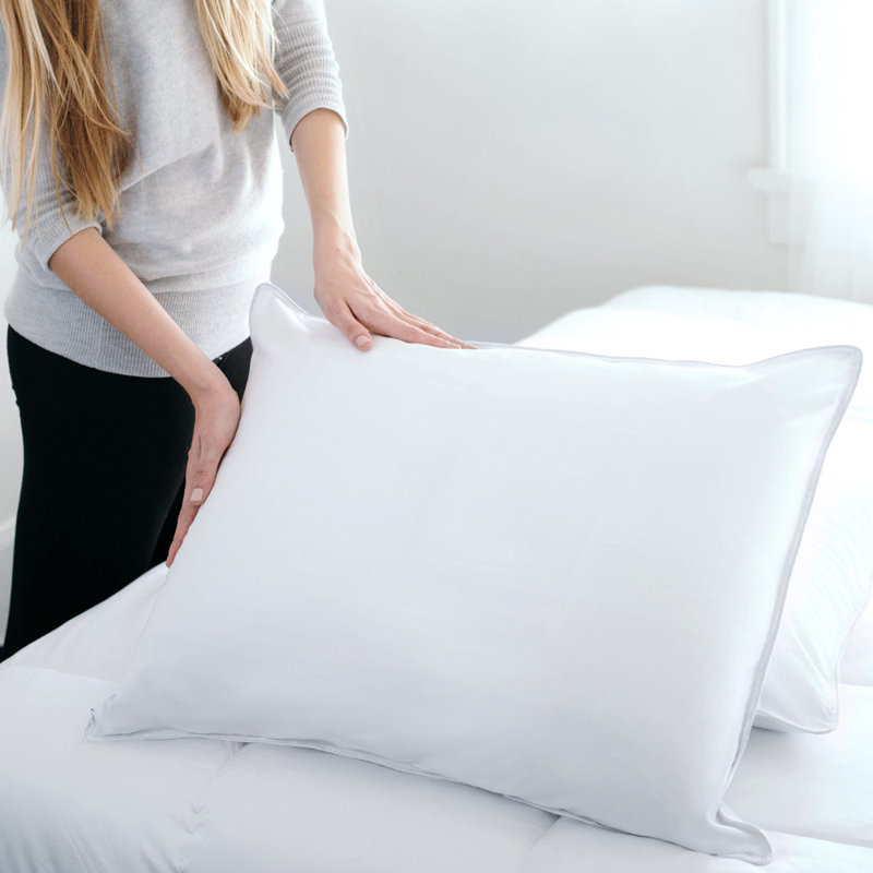 Downlite Soft Down And Feathers Standard Pillow Reviews Wayfair
