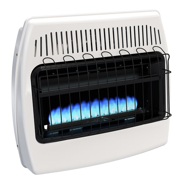 30,000 BTU Wall Mounted Natural Gas Manual Vent-Free Heater by Dyna-Glo