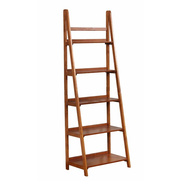 Review Tremaine Wooden Ladder Bookcase