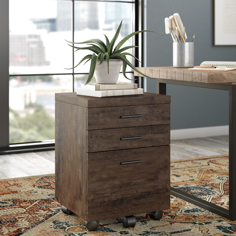 Union Rustic Schroeder 3 Drawer Mobile Vertical Filing Cabinet
