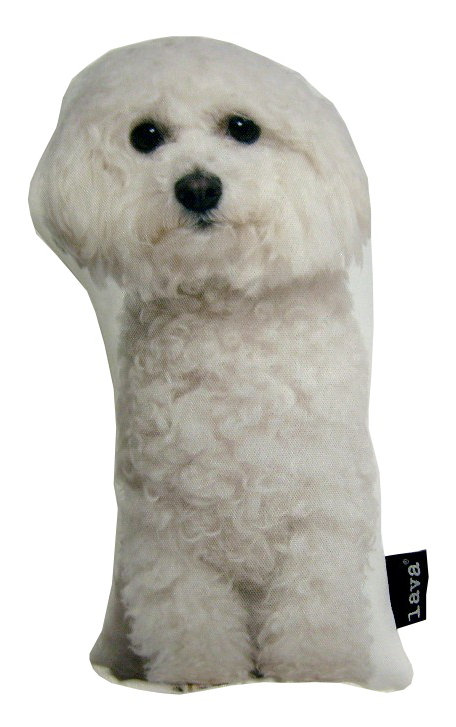 bichon pillow