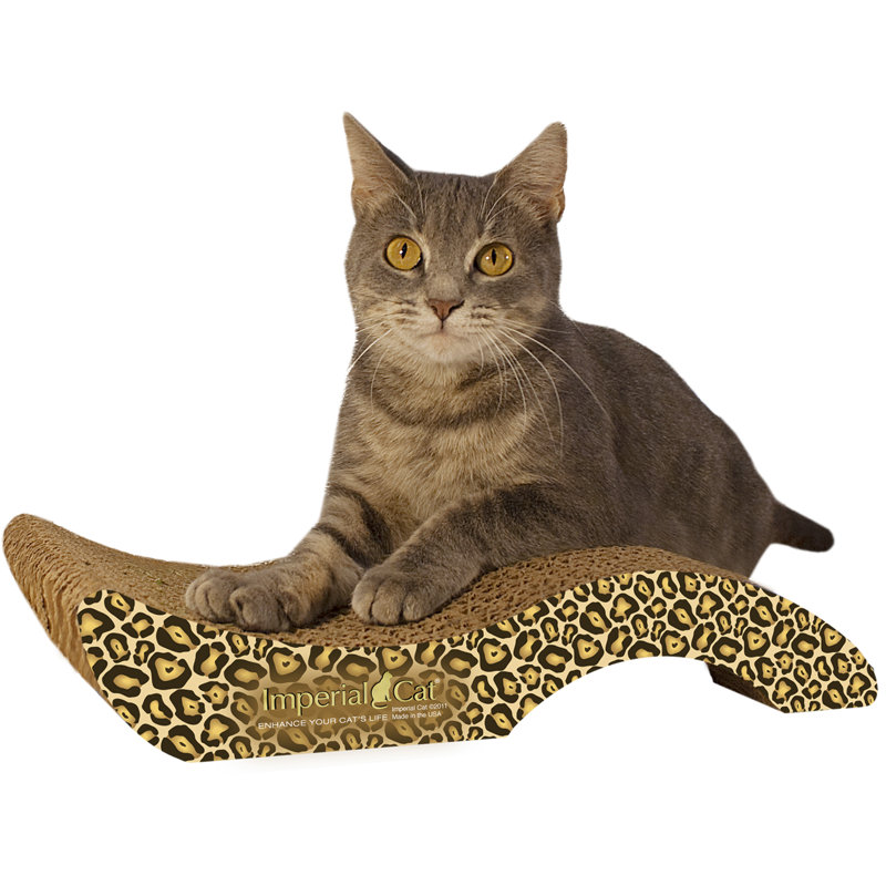 Tucker Murphy Pet Chisholm Small Purrfect Stretch Recycled Paper Scratching Board Reviews Wayfair