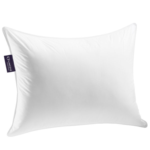 Padded Bed Wayfair