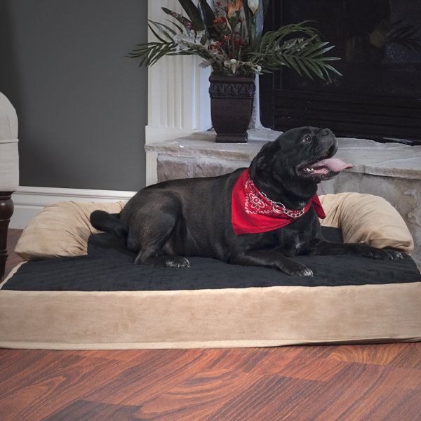 Chance Pet Bed with Bolster by Tucker Murphy Pet
