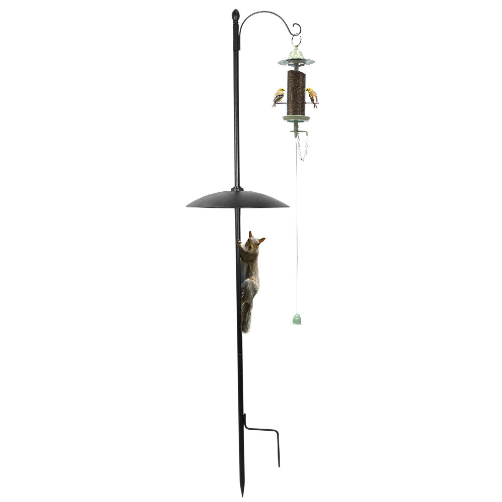 Effortless Products Llc Squirrel Baffle Kit Wayfair Ca