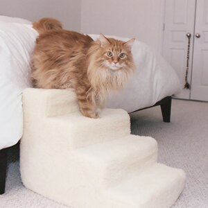 Foam 4 Step Pet Stair