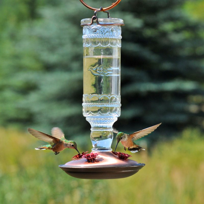 Perky Pet Opus Glass Bottle Nectar Hummingbird Feeder Reviews