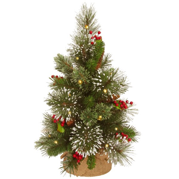 Wintry 18 Green Pine Artificial Christmas Tree with 15 LED Warm White by National Tree Co.