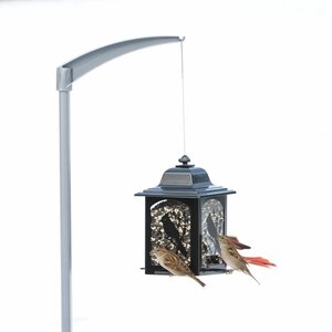 Universal Bird Feeder Pole