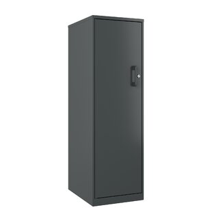 Locking Storage Cabinet Wayfair