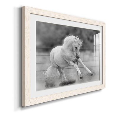 All for Show - Picture Frame Print on Paper Union Rustic Format: White Framed Paper, Size: 23