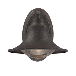 Teller 1-Light Outdoor Sconce