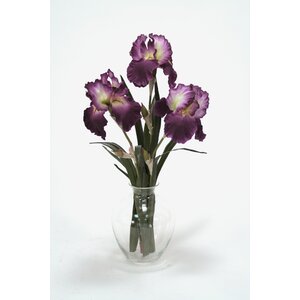 Waterlook Amethyst Bearded Iris with Blades in Victoria Glass Vase