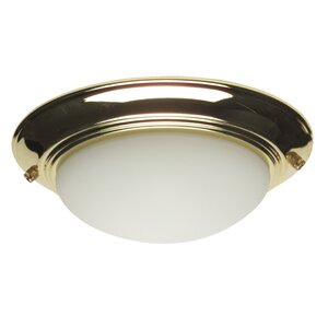 2-Light Frosted Glass Bowl Ceiling Fan Light Kit