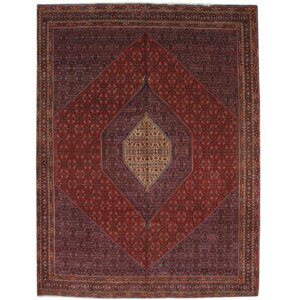 Bidjar Persian Hand Knotted Wool Red Ivory Area Rug