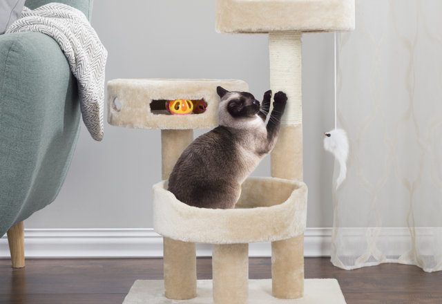 Top-Rated Cat Trees