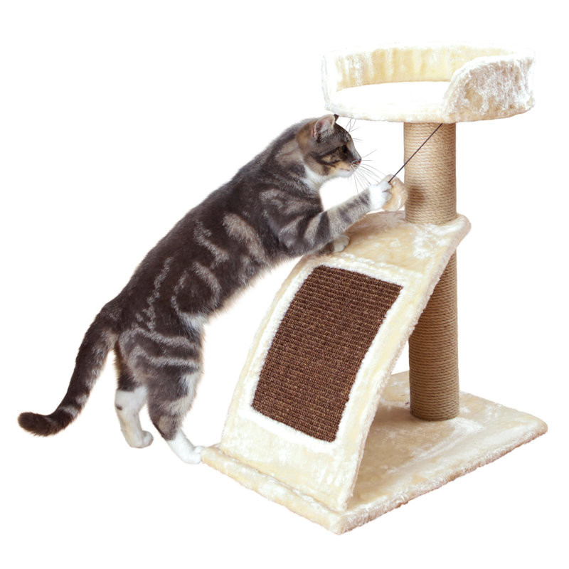 wayfair scratching post