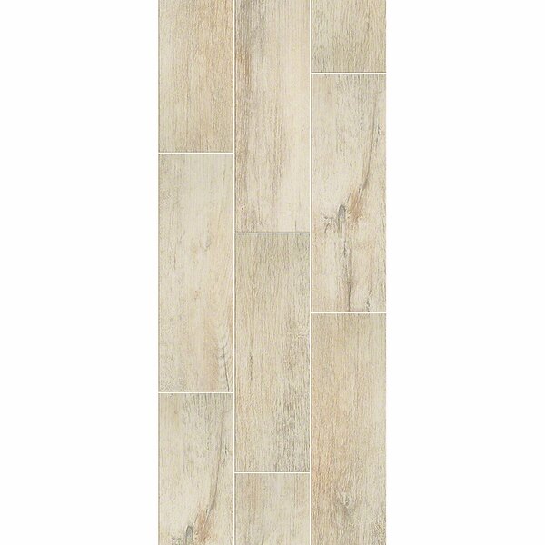 Avenues Plank 7 x 22 Ceramic Field Tile in Flax by Shaw Floors