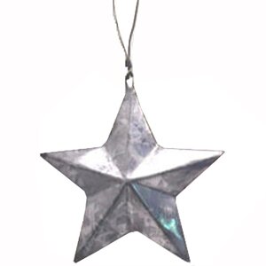 Star Ornament (Set of 12)