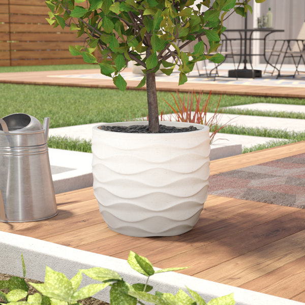 Front Door Flower Pot Wayfair