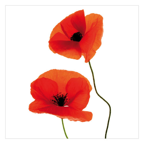 Charming Poppies 2.4m x 2.4m Textured Matt Peel & Stick Wall Mural East Urban Home