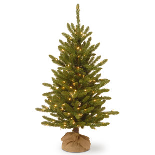 Christmas Trees Birch Lane 48 Green Fir Artificial Christmas Tree With 150 Clear White Lights