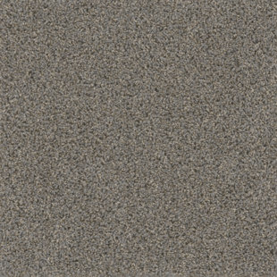 Interlocking Carpet Squares Wayfair