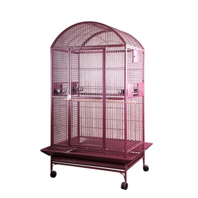 bird cage stand kmart