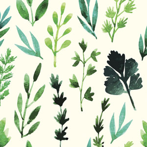 Herb Garden Removable 5' x 20