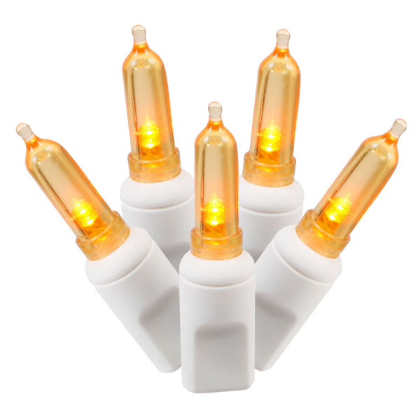 Italian 50 Light String Lighting by Vickerman