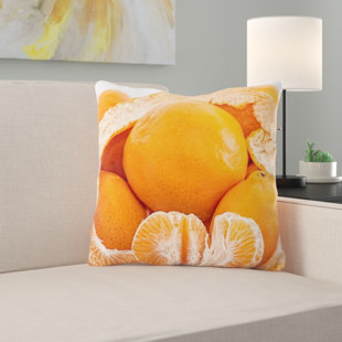 Tangerine Pillow Wayfair