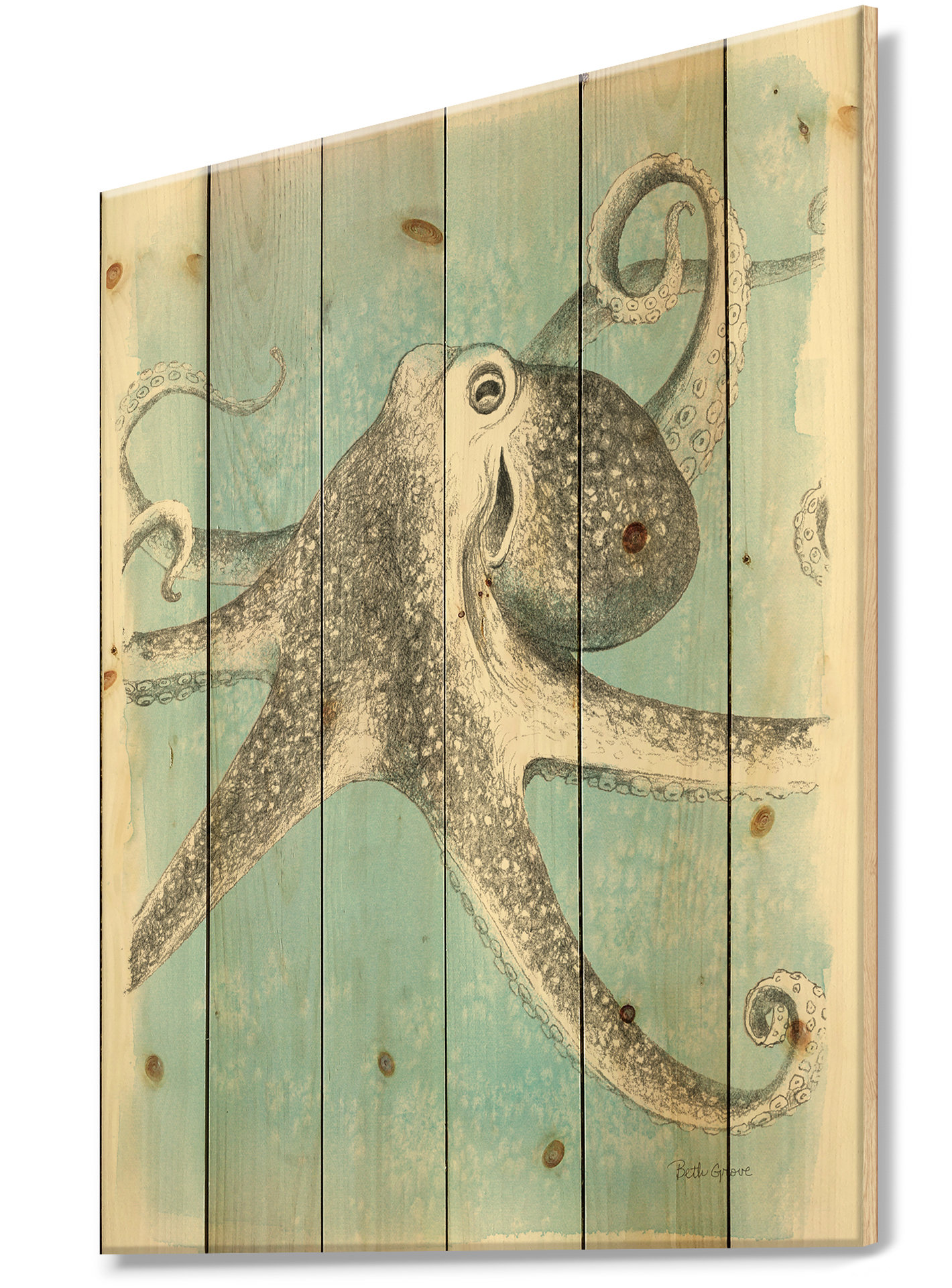 East Urban Home Nautical And Coastal Coastal Sea Life Ii Octopus Sketches Print On Wood Wayfair
