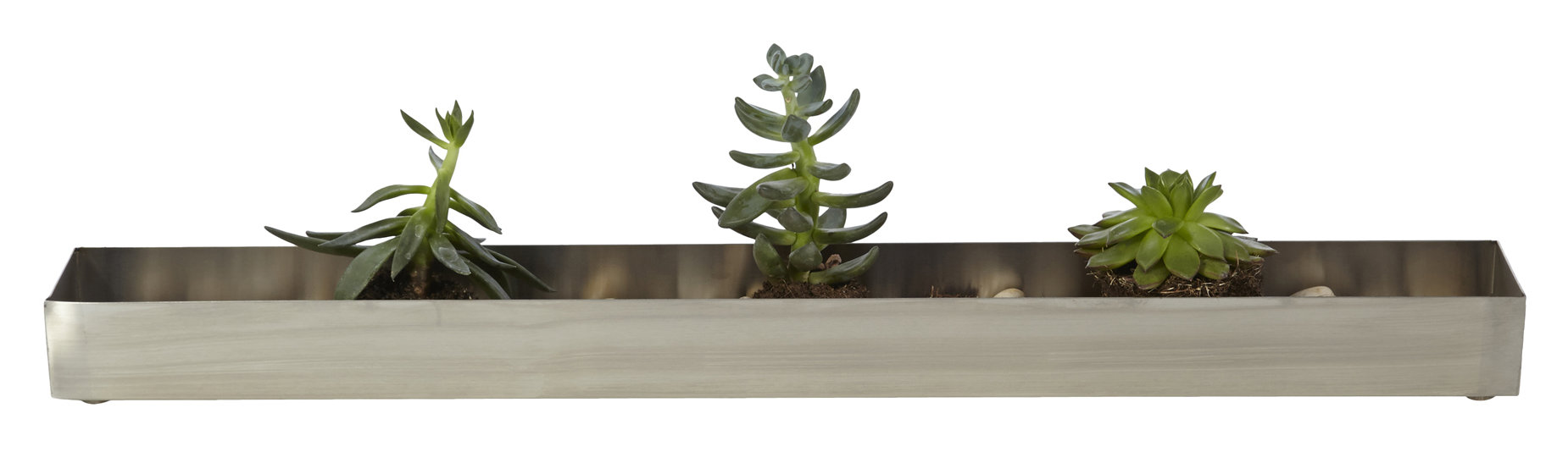 Gus Modern Stainless Steel Planter Box & Reviews Wayfair